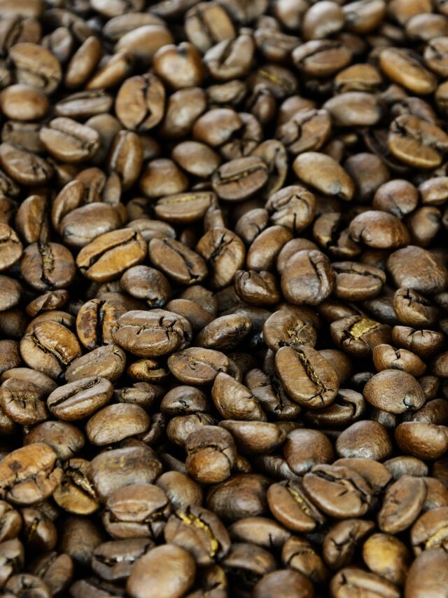 AeroPress: Making the Best Cup of Coffee