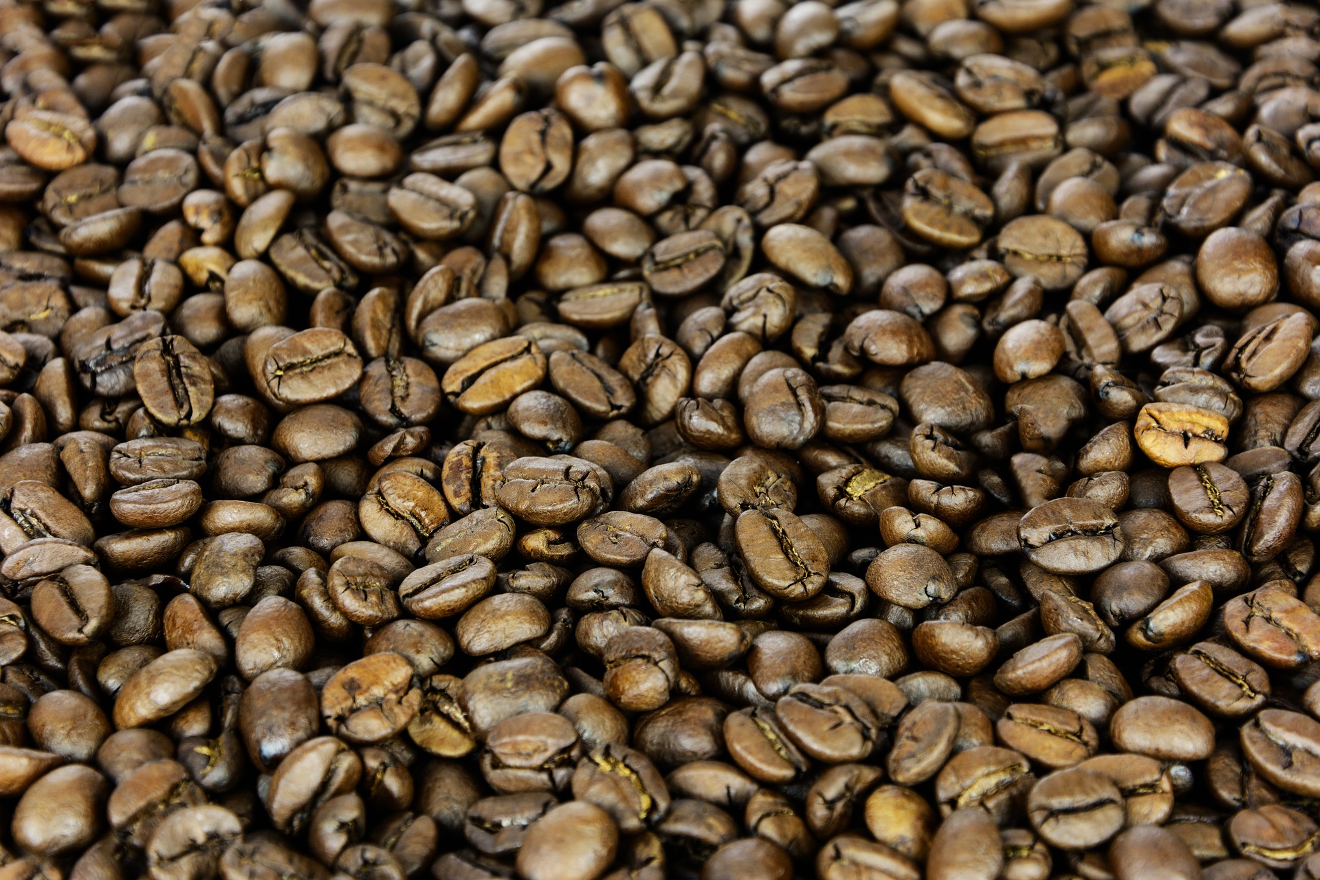 pile of whole coffee beans