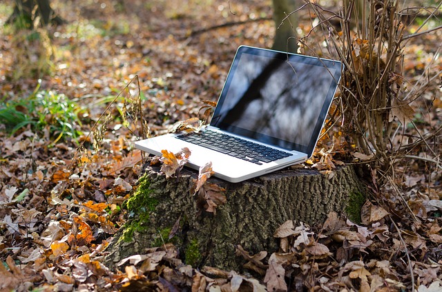 laptop-in-woods