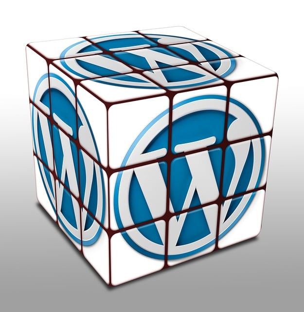 WordPress puzzle